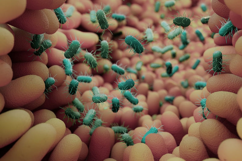 Microbiome cutané : pourquoi c'est le sujet skincare de la décennie