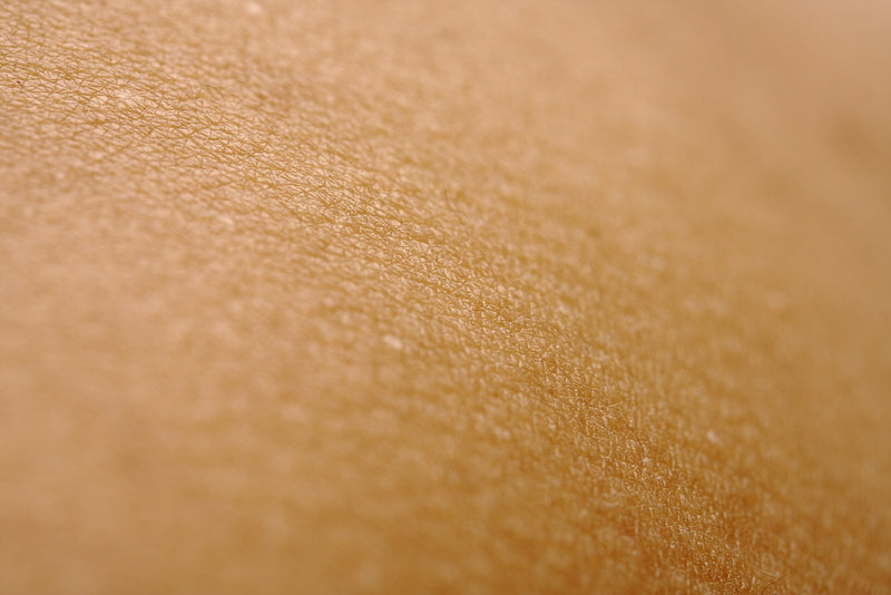 Gros plan sur la texture de la peau du visage et les pores, illustrant les points noirs et comédons