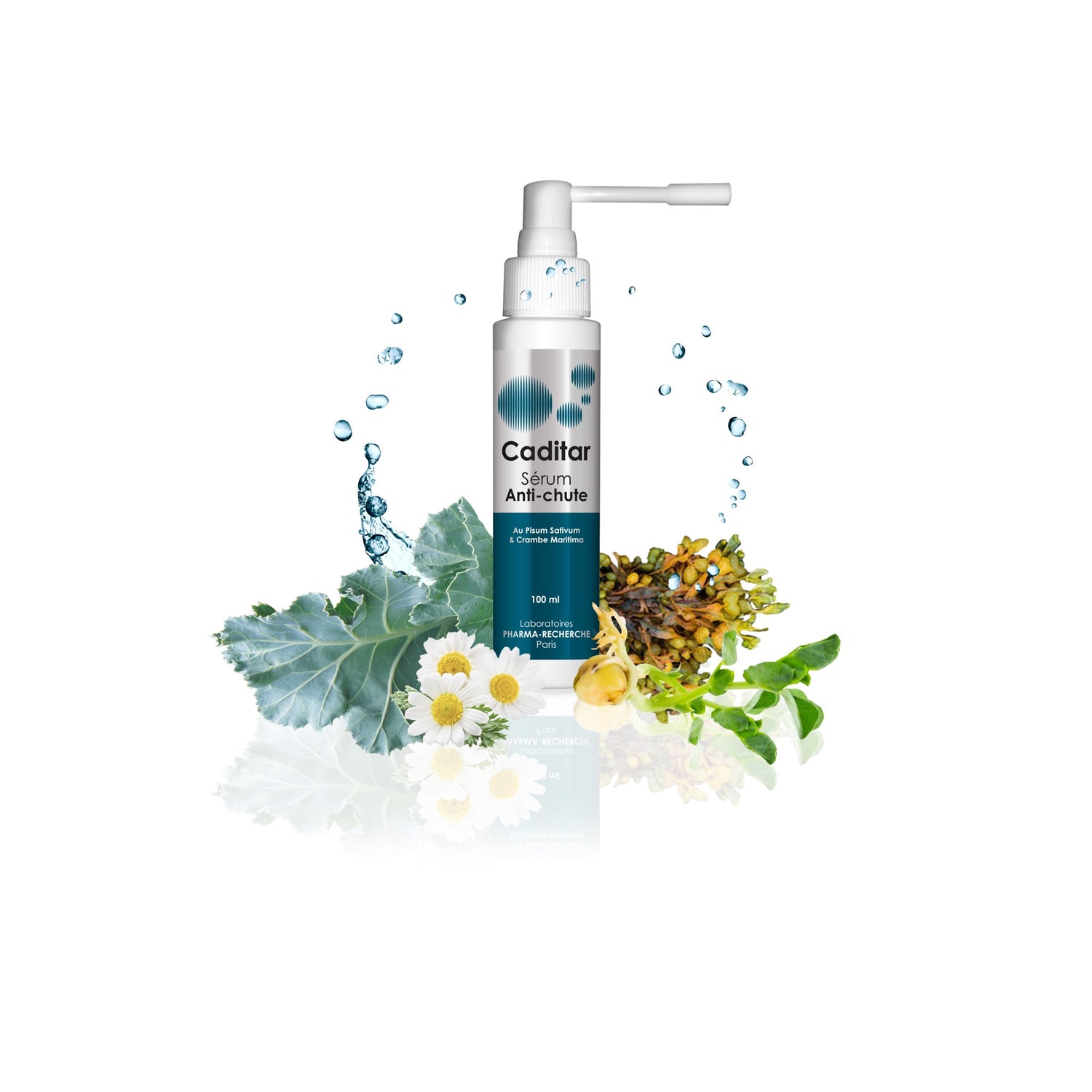 Caditar Shampoing Anti-Chute packshot fond blanc Paradermia
